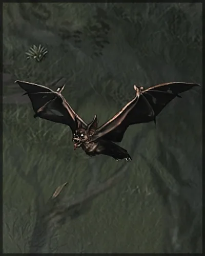 Bat