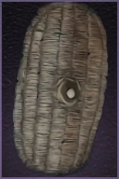Duality Bulwark