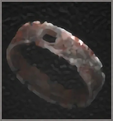 Executor's Ring of Experience