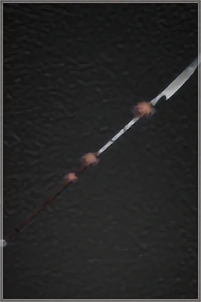 Veteran's Lance